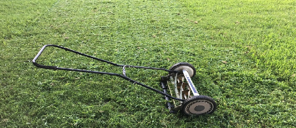 Maintenance of lawn