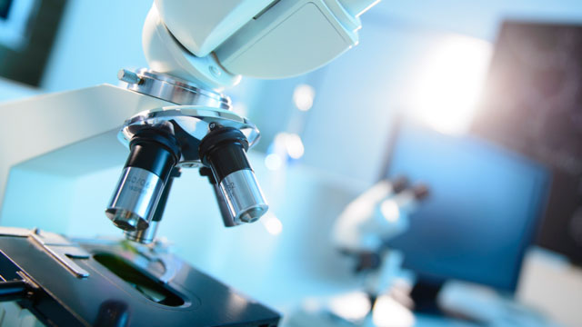 microscope 