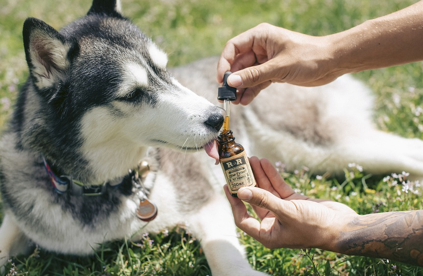 Husky